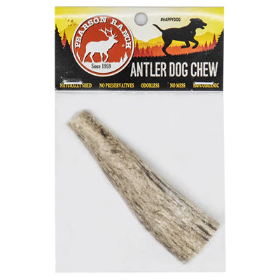 Antler Dog Treat